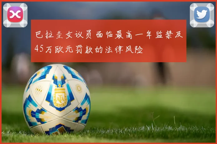 巴拉圭女议员面临最高一年监禁及45万欧元罚款的法律风险