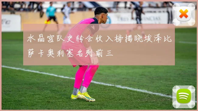 水晶宫队史转会收入榜揭晓埃泽比萨卡奥利塞名列前三